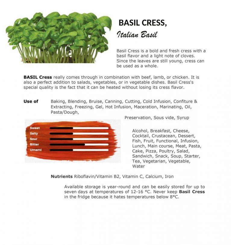 Basil Cress