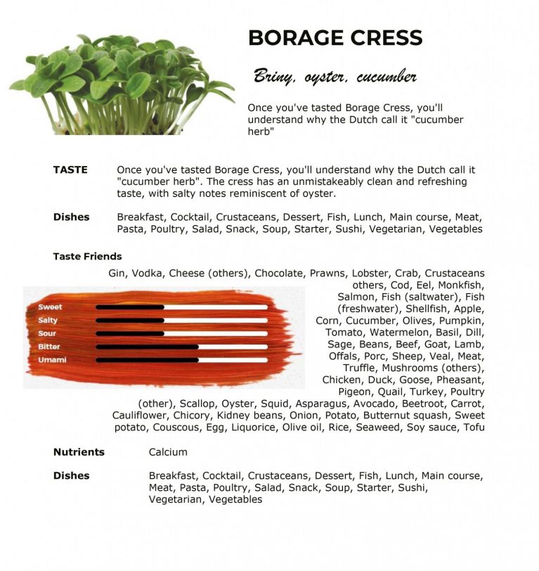 Borage Cress